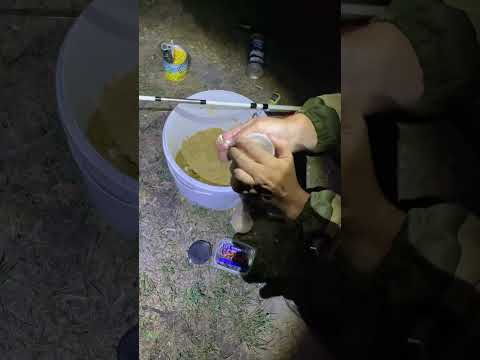 Крупный лещ на простую снасть! #fishing #carpfishing #carp #bassfishing #рыбалка #shorts