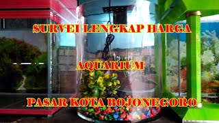 SURVEI LENGKAP HARGA AQUARIUM PASAR KOTA BOJONEGORO