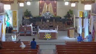 Transfiguration Church: Fifth Sunday of Easter