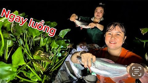 Ngay luồng cá được món ăn tối, ấm lòng đêm khuya @chautranlong4533 