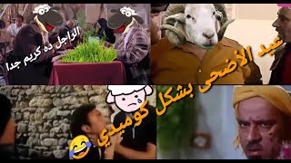 عيد الأضحى ودبح خروف العيد بشكل كوميدي  | أحلا تحفيل