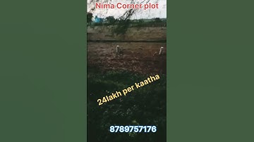 Nima(Dumri)plot for Sale #realestatepatna#investmentplots#plotforsaleinpatna #shortfeed#tranding