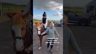 #horsegirl #foryou #horse #foyryoupage #showjumping #flatwork
