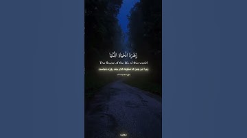 قرآن - سورهطه - آیه131 ☝️🕋 #الله #quran_kareem #thankyouallah #اللهم_صل_وسلم_على_نبينا_محمد #حق