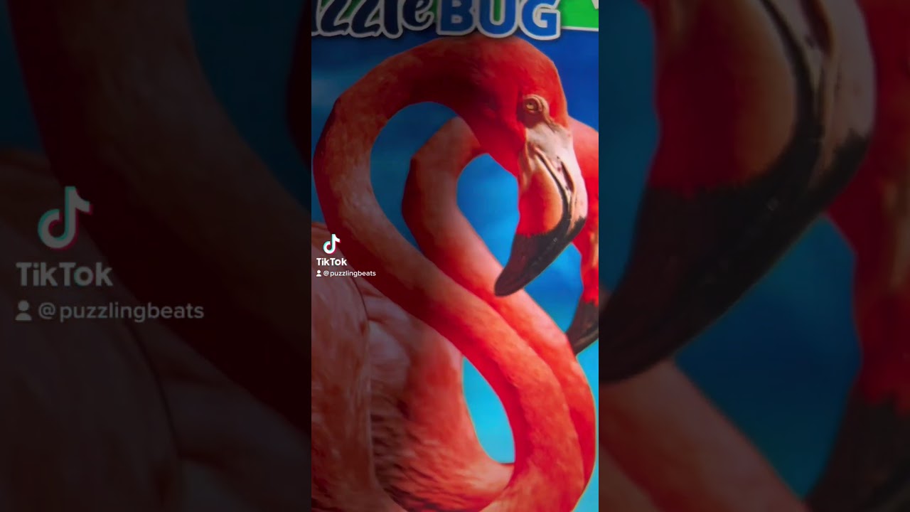 Trying out a puzzle from Dollar Tree 🧩