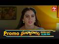 Sandya Ragam Latest Promo | Episode No 309 | 26th May 2026 | ETV Telugu