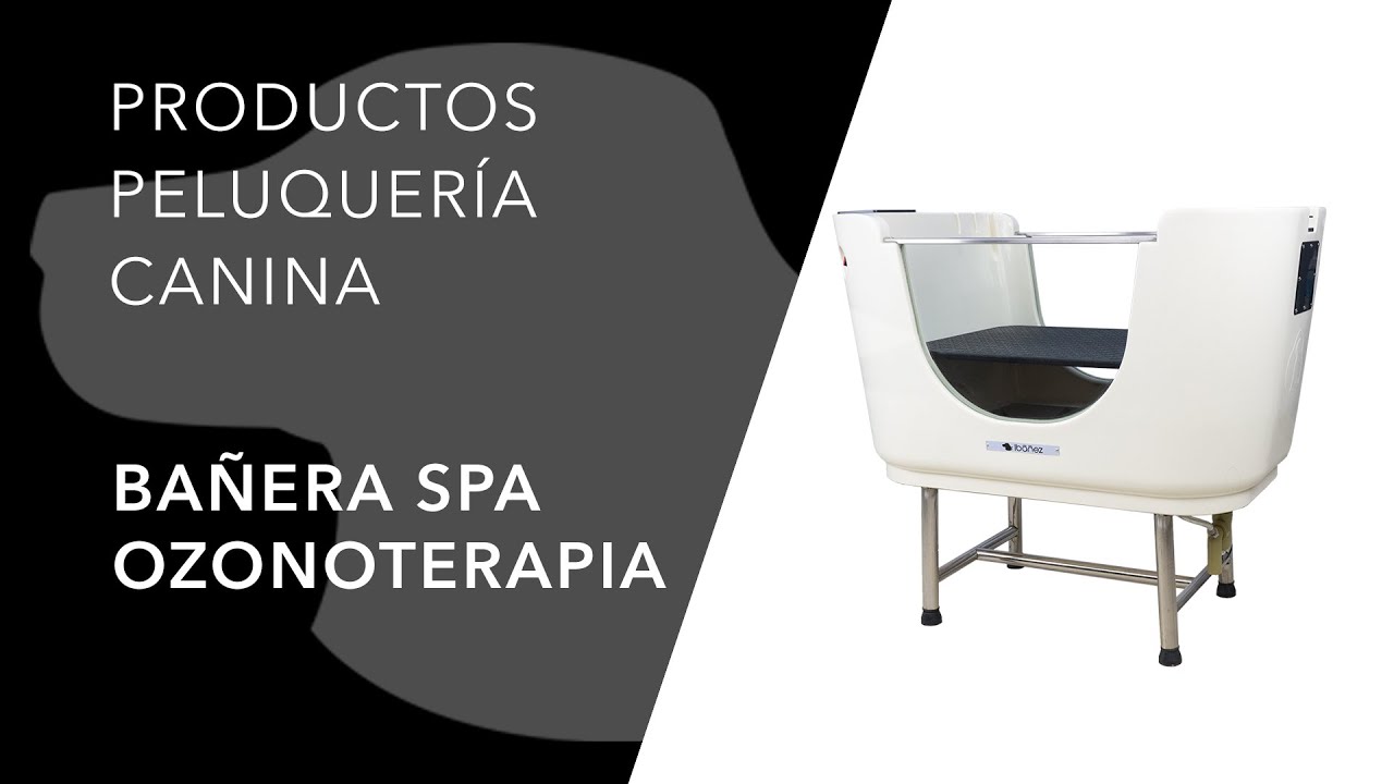 Ozonoterapia Y Spa Canino Youtube