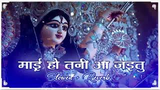 माई हो तनी आ जइतु ( #Slowed + Reverb ) Bhojpuri Navratry Lofi Song | Maai Ho Tani Aa Jaitu Lofi Song screenshot 2