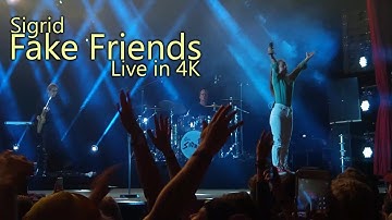 Sigrid - Fake Friends (Live at Roskilde 2018 in 4K)