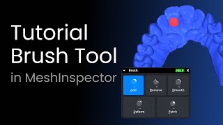 Brush Tool Guide In MeshInspector