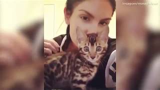 Adult Movie Star August Ames Posts Cute Videos Of Her Cat On Instagram