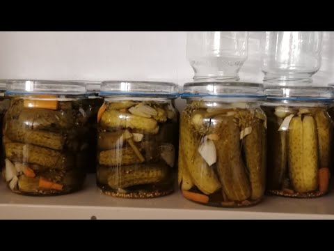 Knackige Gewürzgurken einkochen im Backofen | Fränkisches Familienrezept mit Schwiegermama