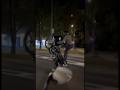 Ночной ездок #harleydavidson #wheelie