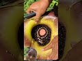 #amazingfacts #flower #farming # टर्निंग #ytshorts #video