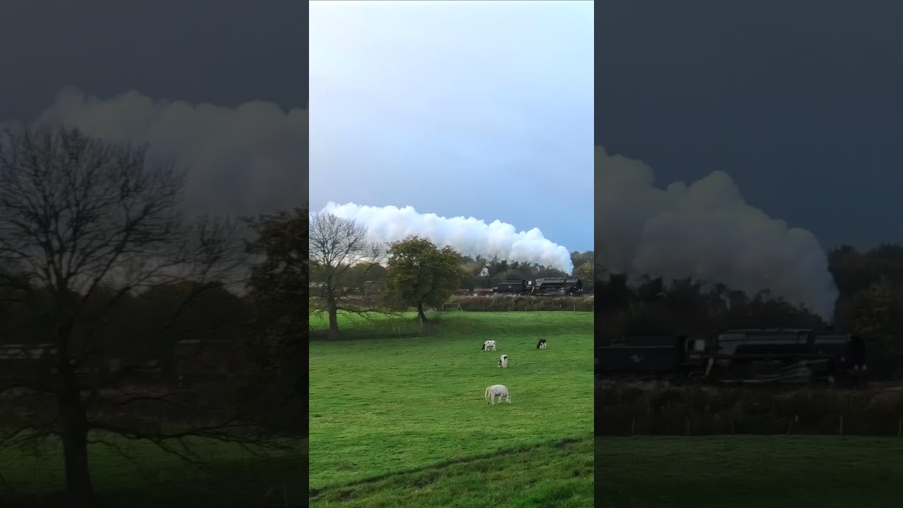 BR Standard 9F 92134 heads through Burrs Country Park on a goods train 