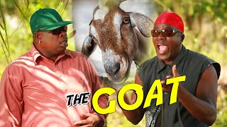 The GOAT  Comedy  Ity and Fancy Cat Show