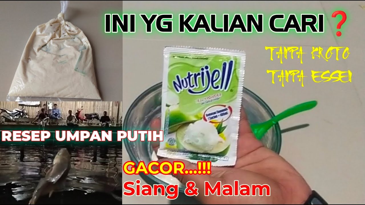 ISTIMAWA ..!!!🌟🌟 Rasakan Sendiri Boskuuuh Pakai Umpan Putih Yang Satu ini Bikin Ikan Susah Nolak