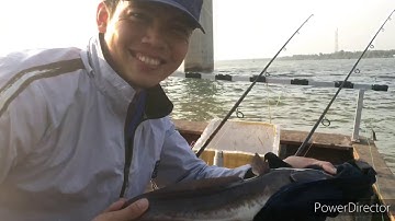 CÂU CÁ NGÁT KHỦNG TRỤ CẦU HÀM LUÔNG BẾN TRE CÁ ĂN LIÊN TỤC//Tâm Nguyễn Vlogs