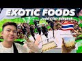Exotic foods mukbang in bangkok thailand  jodds fair  rodolf jamilla