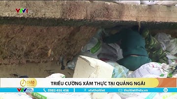 Triều cường xâm thực tại Quảng Ngãi | VTVWDB