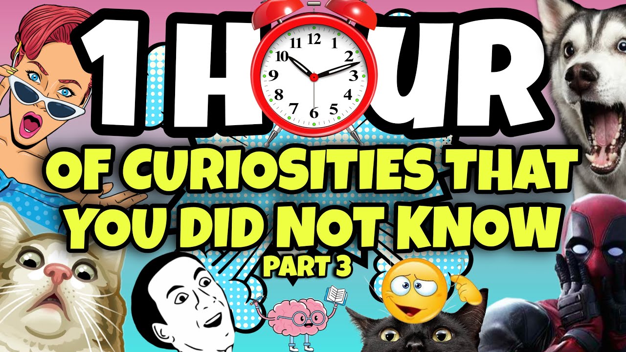 1 HOUR OF CURIOSITIES AND THINGS YOU DIDN'T KNOW 🧠⏰ #3