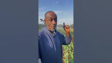 Farmhands Can Drive You Up The Farm I Mean Wall 
