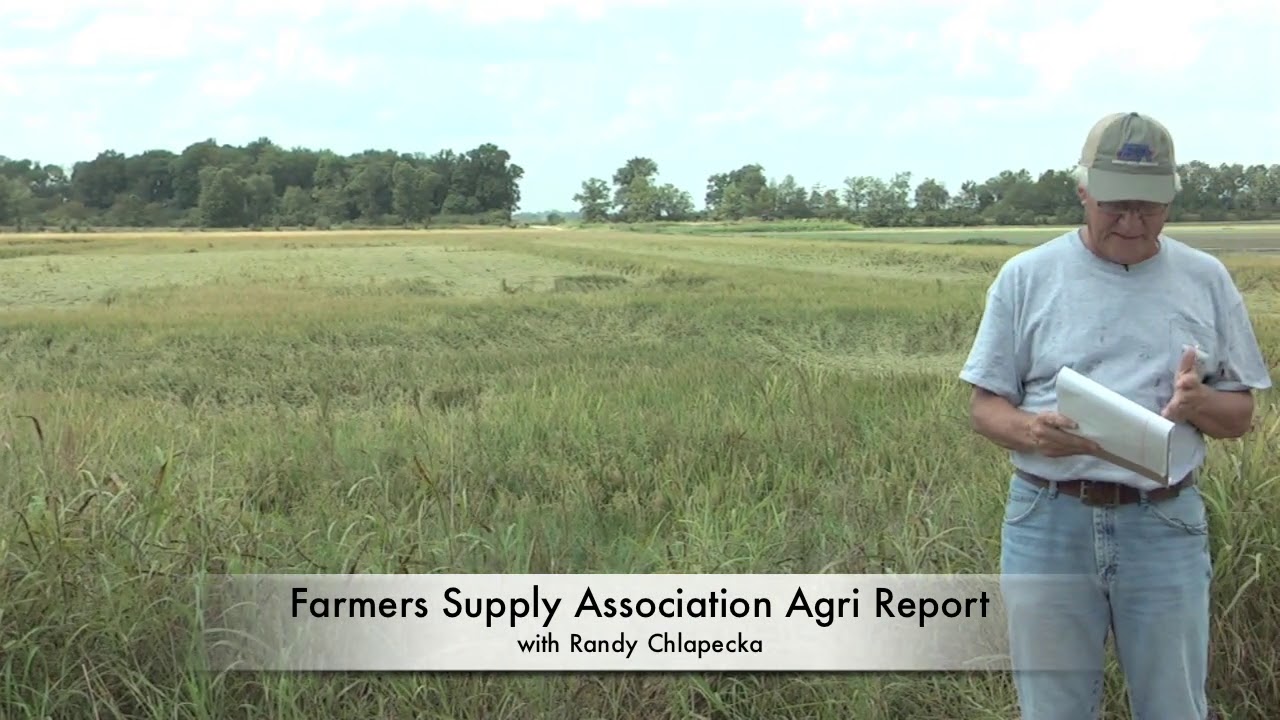 FSA Farm Rep Sept 2020