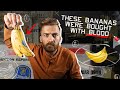 How the us stole central america with bananas