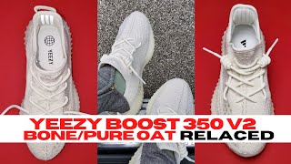 Adidas Yeezy Boost 350 V2 BONE/Pure Oat | HOW TO Relace Yeezy + Perfect Summer Sneaker