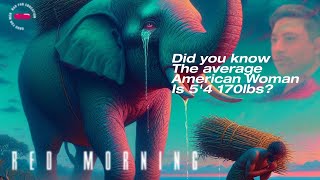 The Pareto Principle, in action | Red Morning