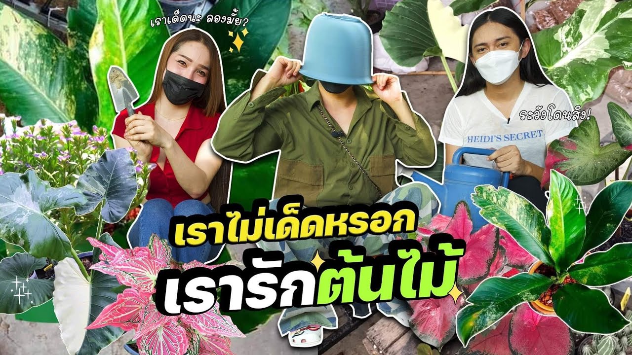 สะตุ๊ดจ๊อบภาค2 EP.15 เราไม่เด็ดหรอก เรารักต้นไม้