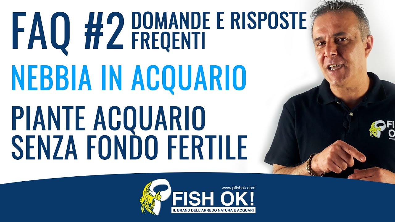 Nebbia in Acquario, piante acquario senza fondo fertile | Domande e ...
