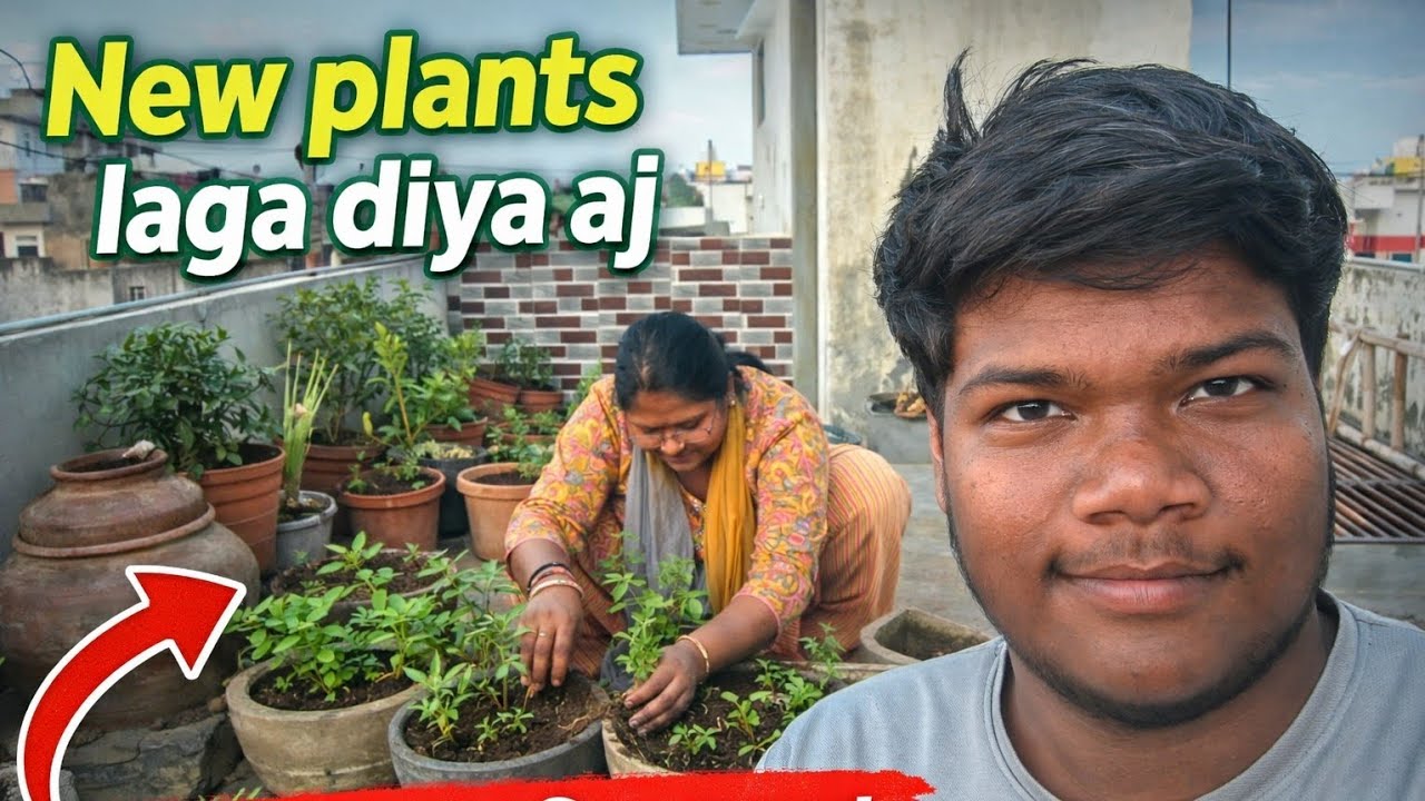 New plants laga diya badi mummy ji or didi na mil ka 🤔 ! Daily vlog 