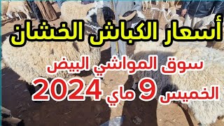 أسعار الكباش الخشان من سوق البيض الخميس 9 ماي 2024