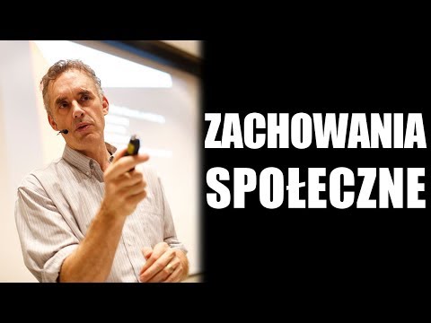 Wideo: Co oznacza społeczne uczenie się?