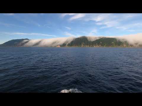 Video: Anivos įlanka: vieta, klimatas, gyventojai, lankytinos vietos