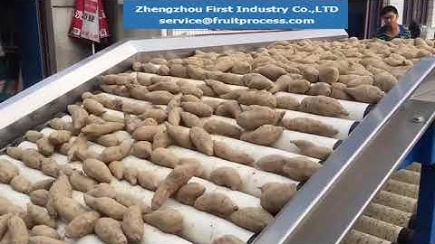 sweet potato sorting machine, sweet potato grader