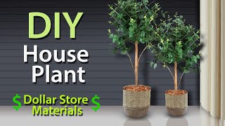 How to Build a Large House Plant From Scratch