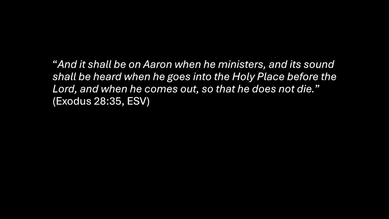 Survey of the Bible - Exodus (Part 7)