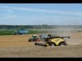 Wheat harvest  moisson du bl