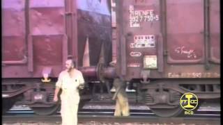 Estación Mercancias de Salamanca. Maniobras y trenes. 04ª Parte.