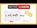 Factor común APLICACIONES