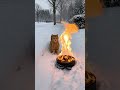 🔥 Cat Discovers That Vacuums Don't Like Snow ❄️🤣 #shorts #cats