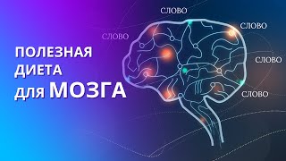 Чем питается мозг человека? Очистка мозга от ненужной информации. Полезная информация для мозга