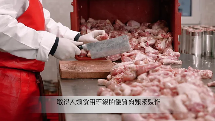 marty瑪蒂-頂級寵物食品 一場飼料領域的工業革命 - 天天要聞