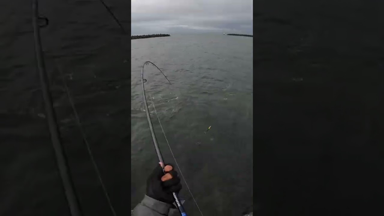 22 9 24am6 11 北海道の鮭釣りvlog アキアジ 北海道の釣り 鮭釣り Youtube