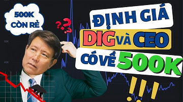 ĐỊNH GIÁ CỔ PHIẾU DIG VÀ CEO | CÓ VỀ ĐƯỢC 500K NHƯ THẦY A7 NÓI? NGƯỜI LÁI ĐÒ CHỨNG KHOÁN