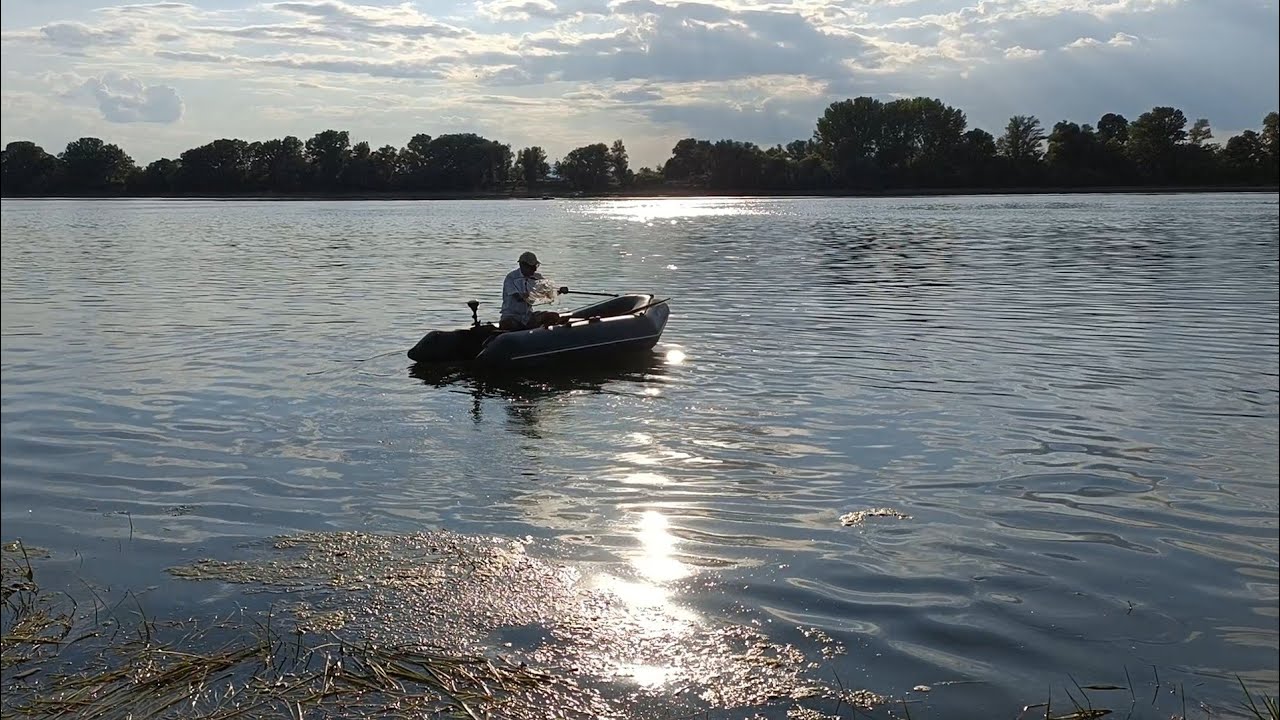 Pescuit cu uica Gore cu barca pe Dunăre. Momit cu grâu umflat un nou loc în larg.