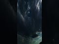 Thank You Moment: Spread the Positive Vibes!