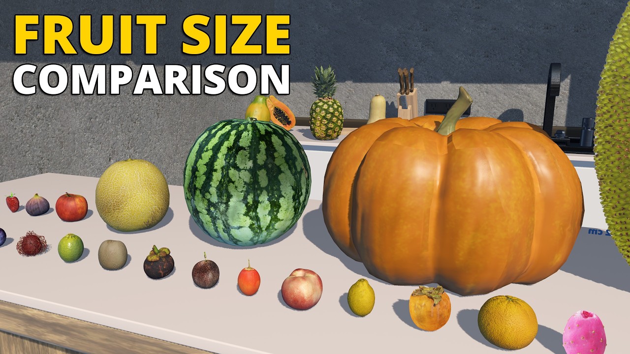 Сравнение размеров фруктов в 3D | Насколько велики фрукты на самом деле?